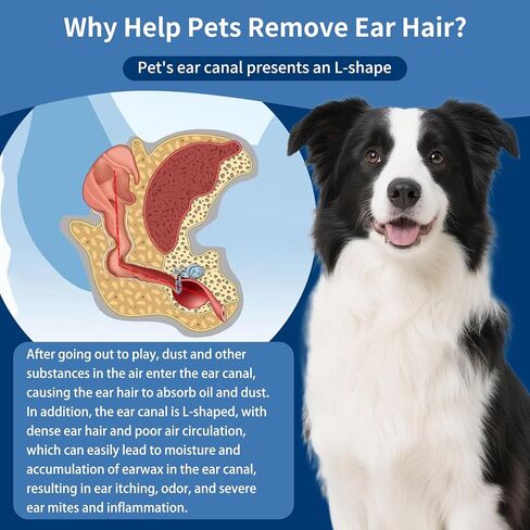 Dog Ear Powder for Hair Removal, 30g, Reduces Pain, Keeps Ears Dry, Removes Odors and Earwax, Relieves Itching, Suitable for Cats and Dogs, 1 Bottle in Saudi Arabia