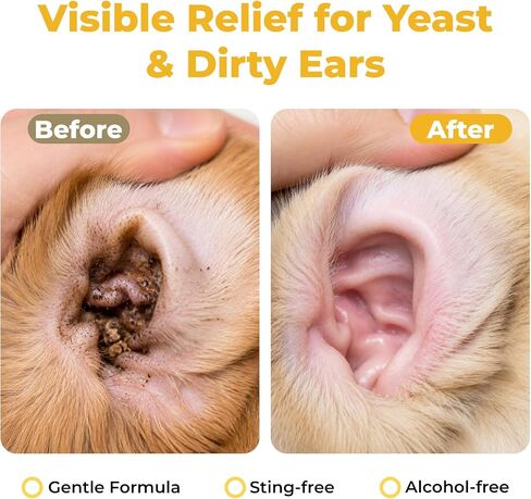Dog Ear Cleaner, with Hydrocortisone & Microsilver, Ear Infection Treatment for Dogs, Ear Drops for Ear Wax Removal & Itch Relief, Helps Soothe Ear Redness, Irritation & Odor, 2.03 fl oz in Saudi Arabia