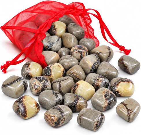 Crocon 1LB Petrified wood quartz tumbled stones and Crystals bulk 2000+ Carats Natural Kit for Reiki Healing Crystals Polished Tumble Stones Chakra Balancing Reiki Gift Home Décor DIY crafts in Kuwait