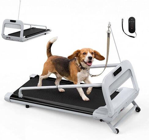 Treadmill for Small & Medium Dog with Remote & Incline, 265 lbs Capacity in Kuwait