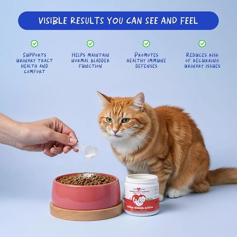Cranberry Supplement for Cat UTI Treatment & Bladder Support with D-Mannose in Kuwait