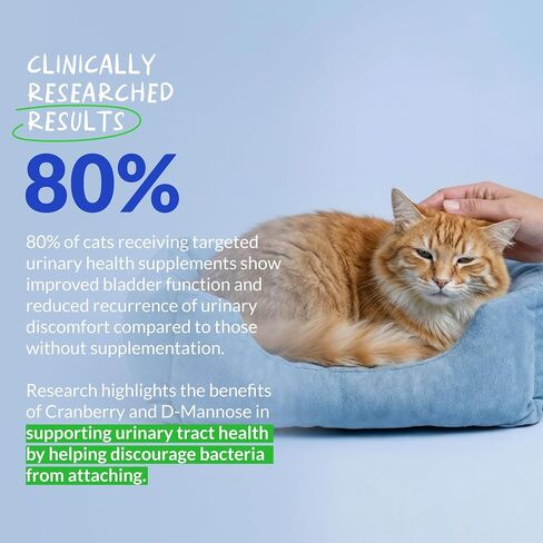 Cranberry Supplement for Cat UTI Treatment & Bladder Support with D-Mannose in Kuwait