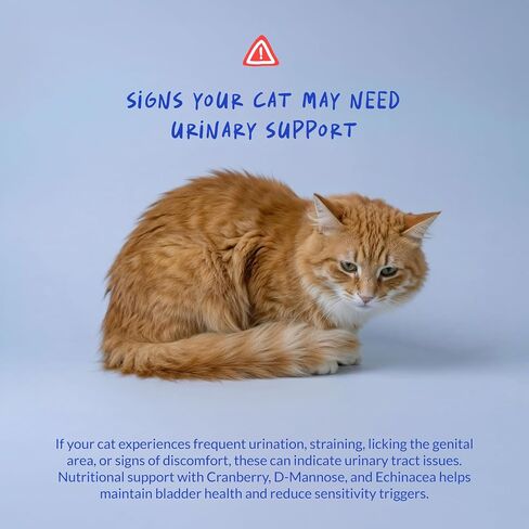 Cranberry Supplement for Cat UTI Treatment & Bladder Support with D-Mannose in Kuwait