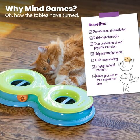 Catstages Infinity Ball Track for Cats, 3 Balls Included, 17.4" in Saudi Arabia