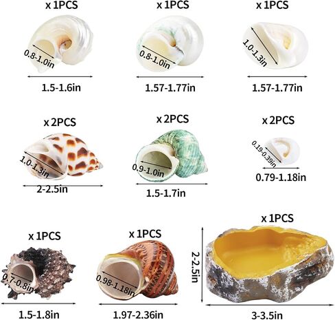 13PCS Natural Small Medium Hermit Crab Shells with Sea Sponge & Water Bowl in Kuwait