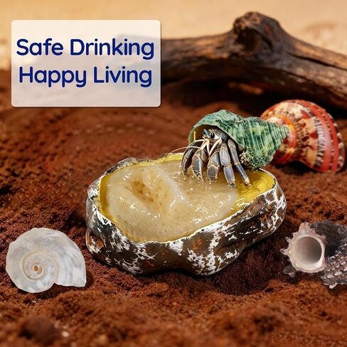 13PCS Natural Small Medium Hermit Crab Shells with Sea Sponge & Water Bowl in Kuwait