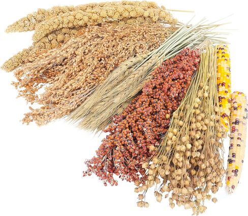Hamster Organic Sprays Set = Wheat + Flax + Yellow Millet + Panicle Millet, Pet Habitat Bedding Decor, Natural Hamster Chews Accessories Supplies, for Gerbil, Mice, Guinea Pig, Chinchilla, 4 sprays in Saudi Arabia