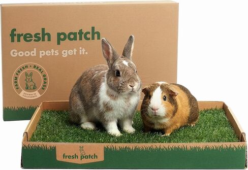 Fresh Patch Real Grass for Rabbits and Other Small Animals (16 Inches x 24 Inches) in Kuwait