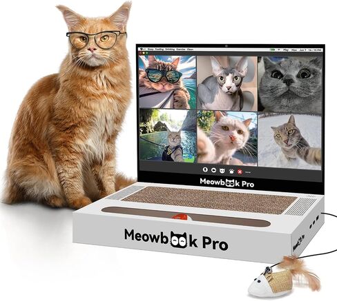 Cat Scratcher Laptop Cat Toy with 'Mouse' Jingle Ball, Stickers in Saudi Arabia