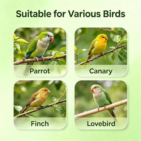 No Mess Automatic Bird Feeder for Cage, Transparent Parrot Seed Feeder in Kuwait