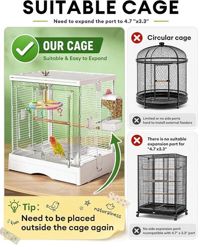Bucatstate No Mess Bird Feeder, Auto Dispenser, Dual Filter & Waste Drawer in Kuwait