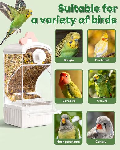 Bucatstate No Mess Bird Feeder, Auto Dispenser, Dual Filter & Waste Drawer in Kuwait