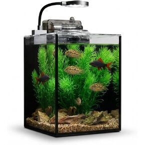 2.8 Gallon Small Glass Fish Tank with Lid, Desktop Nano Aquarium Starter Kit with Clip-on LED Light and Waterfall Filter Pump for Home and Office in Saudi Arabia