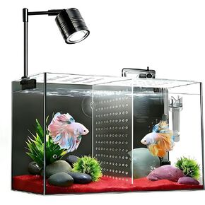 Fish Tank, 3 Gallon Ultra-Clear Glass Fish Aquarium, with Separator Plate for Betta, Fish Tank Starter kit with Filter and Led Light, Black in Kuwait