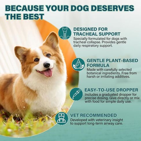Collapsed Trachea Treatment for Dogs, Trachea Support Drops, Respiratory Support Supplement, Helps Maintain Calm Breathing & Airway Comfort, Relieve Nighttime Dry Wet Cough - 60mL (Chicken Flavor) in Kuwait