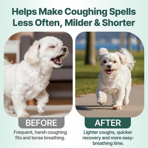 Collapsed Trachea Treatment for Dogs, Trachea Cough Elixir, Dog Cough Treatment –Natural Herbs Respiratory Support, Promotes Throat Comfort and Breathe Smoothly for Honking Cough, Gagging and Wheezing in Saudi Arabia