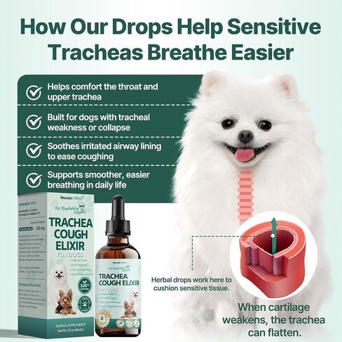 Collapsed Trachea Treatment for Dogs, Trachea Cough Elixir, Dog Cough Treatment –Natural Herbs Respiratory Support, Promotes Throat Comfort and Breathe Smoothly for Honking Cough, Gagging and Wheezing in Saudi Arabia