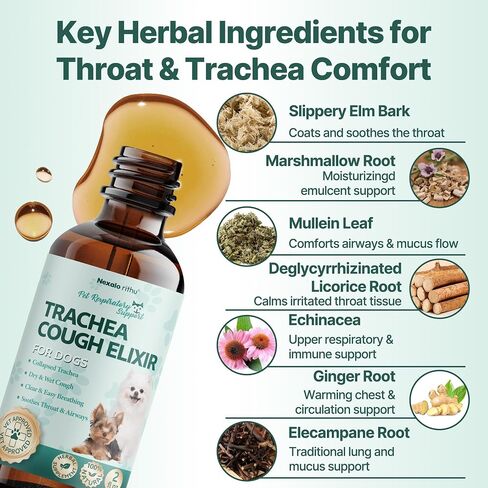 Collapsed Trachea Treatment for Dogs, Trachea Cough Elixir, Dog Cough Treatment –Natural Herbs Respiratory Support, Promotes Throat Comfort and Breathe Smoothly for Honking Cough, Gagging and Wheezing in Saudi Arabia