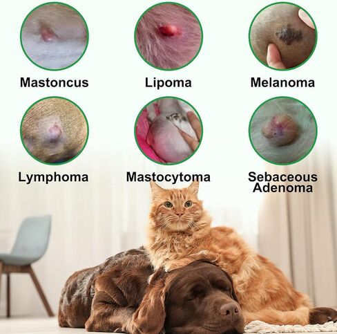 Lipoma Treatment for Dogs & Cats, Soften Fatty Lumps & Bumps in Dog, Castor Oil for Dogs, Pet Massage Oil, Soften Fatty Lumps & Bumps in Dog in Kuwait