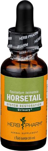 Herb Pharm Horsetail Liquid Extract for Urinary System Support - 1 Ounce in Kuwait