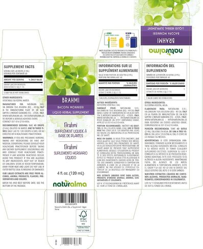 Naturalma Brahmi (Bacopa monnieri) herb Alcohol-free Tincture - 4 fl oz Liquid extract in drops - Herbal supplement - Vegan in Kuwait