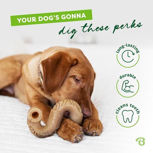 Benebone Tripe Bone Durable Dog Chew Toy for Aggressive Chewers, Medium in Kuwait