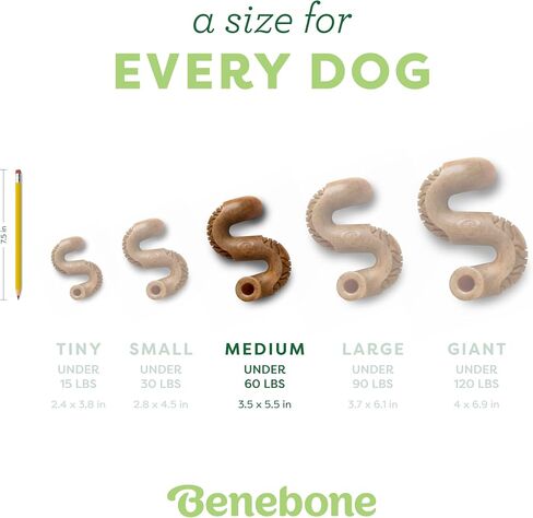 Benebone Tripe Bone Durable Dog Chew Toy for Aggressive Chewers, Medium in Kuwait