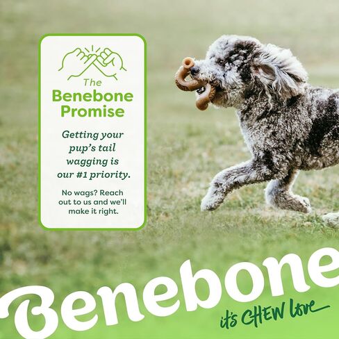 Benebone Tripe Bone Durable Dog Chew Toy for Aggressive Chewers, Medium in Kuwait