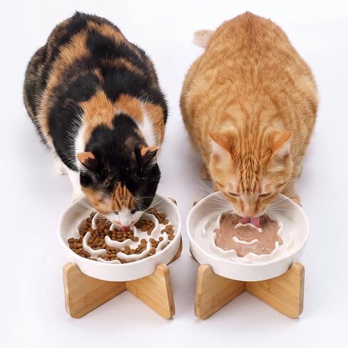 4 Set Raised Slow Feeder Cat Bowl with Stand,Flower Style,White in Kuwait