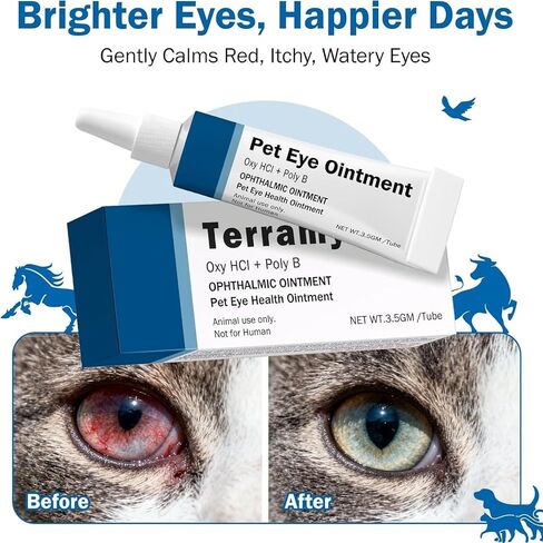POLKA Terramypol Eye Ointment for Cats and Dogs, Horses, Birds, Sheep 3.5g/0.125oz - Pack of 2 in Kuwait