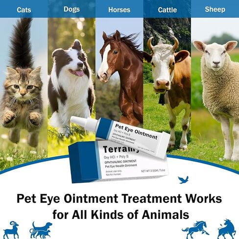 POLKA Terramypol Eye Ointment for Cats and Dogs, Horses, Birds, Sheep 3.5g/0.125oz - Pack of 2 in Kuwait