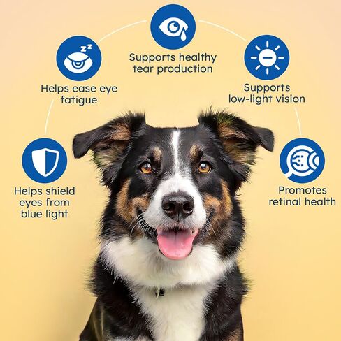 Vision Chews for Dogs Chicken 150 Count with Lutein and Bilberry in Saudi Arabia