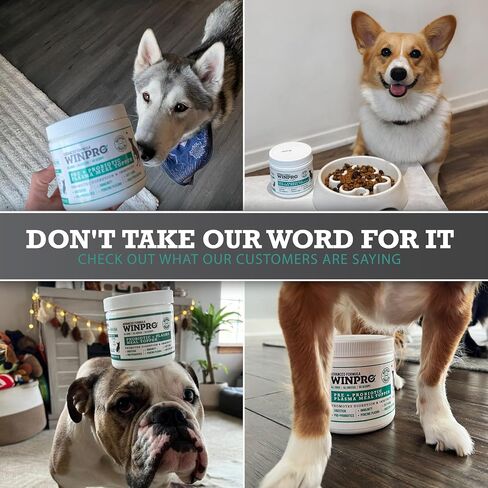 WINPRO Dog Probiotic Powder Meal Topper, Spray Dried Plasma with Prebiotics and Probiotics for Digestive Support and Gut Health for Dogs, All Breeds, Ages, and Sizes, 60 Scoops, Made in USA in Kuwait