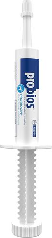 Probios Probiocin Oral Gel for Dogs & Cats, 15 g Tube, 2-Pack in Kuwait