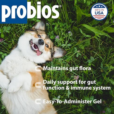 Probios Probiocin Oral Gel for Dogs & Cats, 15 g Tube, 2-Pack in Kuwait