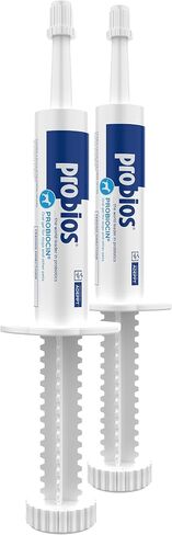 Probios Probiocin Oral Gel for Dogs & Cats, 15 g Tube, 2-Pack in Kuwait
