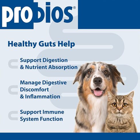 Probios Probiocin Oral Gel for Dogs & Cats, 15 g Tube, 2-Pack in Kuwait