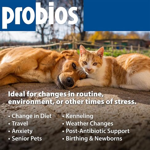 Probios Probiocin Oral Gel for Dogs & Cats, 15 g Tube, 2-Pack in Kuwait