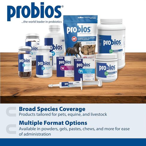 Probios Probiocin Oral Gel for Dogs & Cats, 15 g Tube, 2-Pack in Kuwait