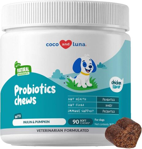 Dog Probiotics & Prebiotics Chews for Digestive Health & Diarrhea Relief in Kuwait