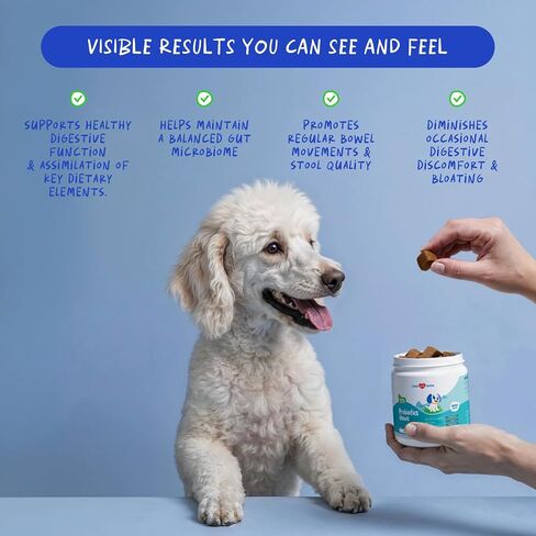 Dog Probiotics & Prebiotics Chews for Digestive Health & Diarrhea Relief in Kuwait