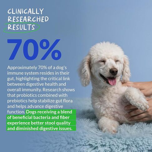 Dog Probiotics & Prebiotics Chews for Digestive Health & Diarrhea Relief in Kuwait