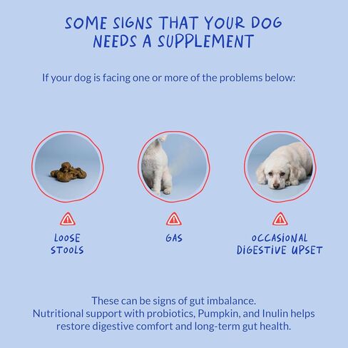 Dog Probiotics & Prebiotics Chews for Digestive Health & Diarrhea Relief in Kuwait