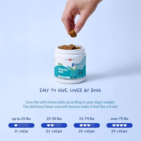 Dog Probiotics & Prebiotics Chews for Digestive Health & Diarrhea Relief in Kuwait
