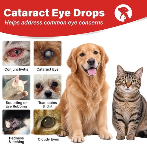 Eye Drops for Dogs & Cats, NAC 2% & Lanosterol Formula, For Vision Clarity in Kuwait