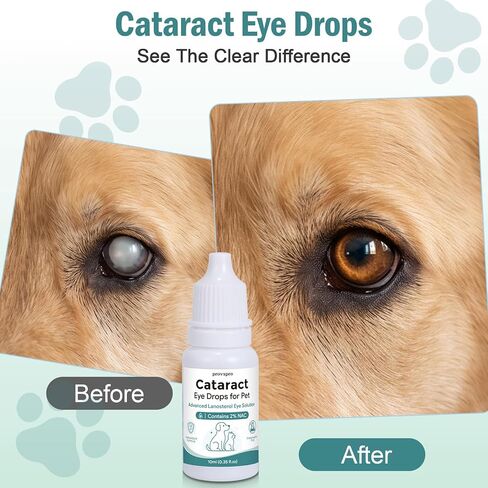 Cataract Eye Drops for Dogs, Improve Vision Clarity & Comfort, Support Eye Moisture, Preservative-Free, Daily Gentle Pet Eye Care Formula in Saudi Arabia