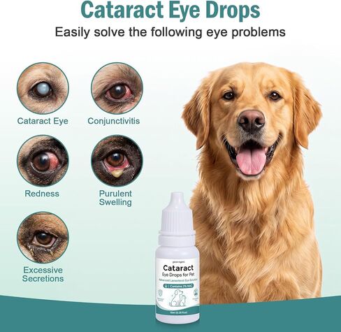 Cataract Eye Drops for Dogs, Improve Vision Clarity & Comfort, Support Eye Moisture, Preservative-Free, Daily Gentle Pet Eye Care Formula in Saudi Arabia