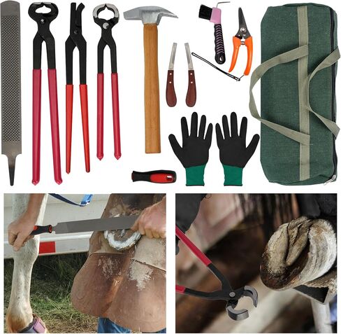 12Pcs Farrier Tools Kit, Hoof Trimming Tools with Tool Bag in Saudi Arabia