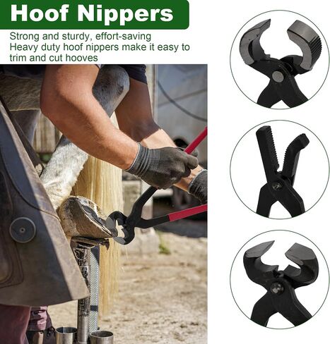 12Pcs Farrier Tools Kit, Hoof Trimming Tools with Tool Bag in Saudi Arabia