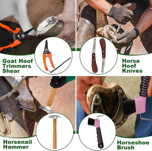 12Pcs Farrier Tools Kit, Hoof Trimming Tools with Tool Bag in Saudi Arabia
